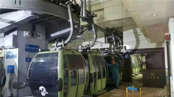 青青草污视频APP现场